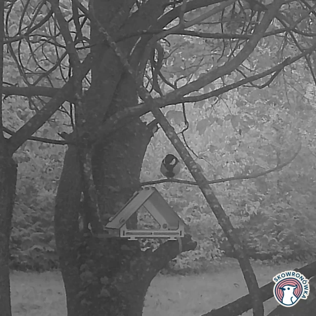 120-5